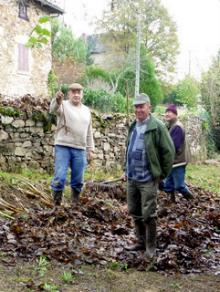 travaux d'Automne