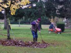 travaux d'Automne