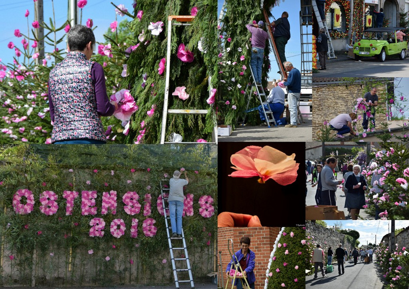 Aixe-sur-Vienne, Ostensions 2016, la prparation et les fleurs