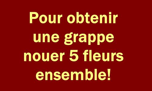glycine des ostensions Aixe-sur-Vienne