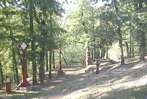 Le chemin de croix: chemin du bonheur,  Arliquet, Aixe-sur-Vienne, diocse de Limoges